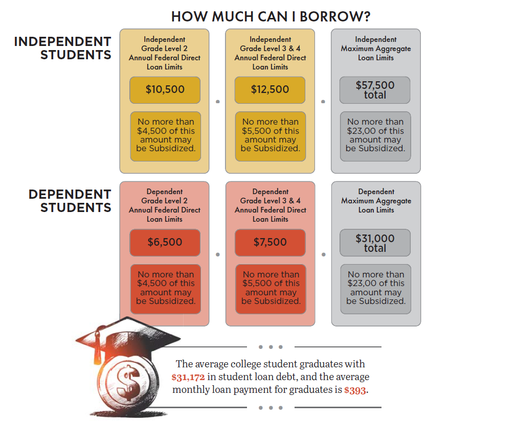 Chart showing borrowing options